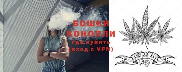 ПСИЛОЦИБИНОВЫЕ ГРИБЫ Баксан