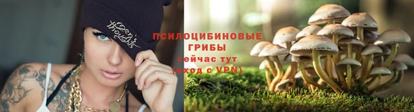 твердый Арсеньев