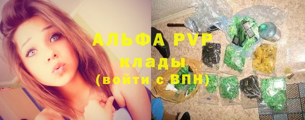 ПСИЛОЦИБИНОВЫЕ ГРИБЫ Баксан