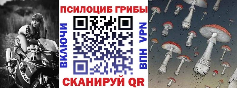 Галлюциногенные грибы мицелий  наркота  Балей 